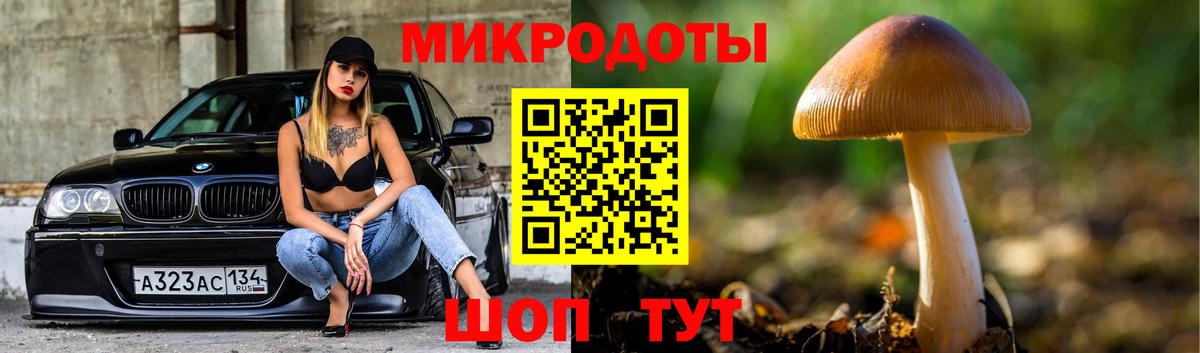 Галлюциногенные грибы Magic Shrooms Конаково