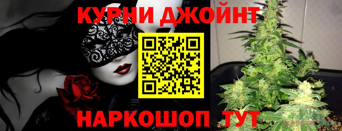 Конопля сатива Конаково
